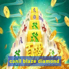 canil blaze diamond